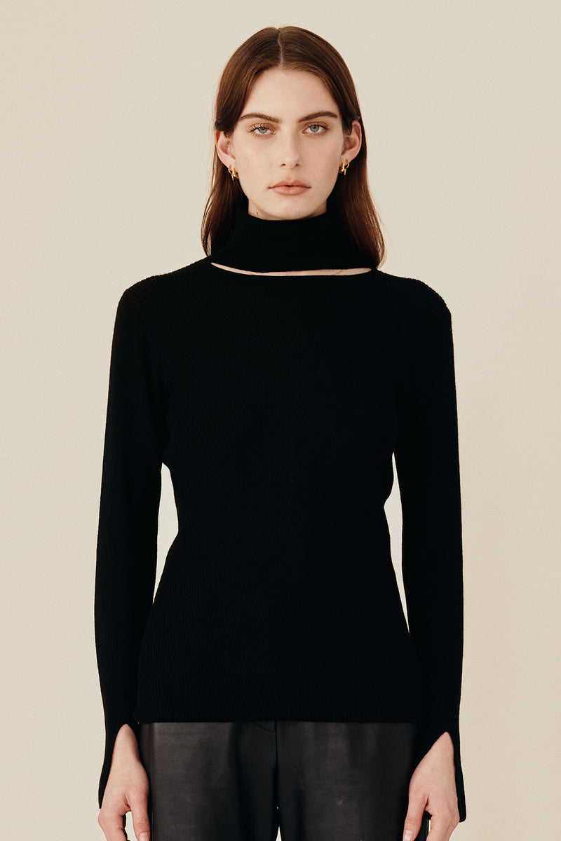 Dimension Turtleneck Knit