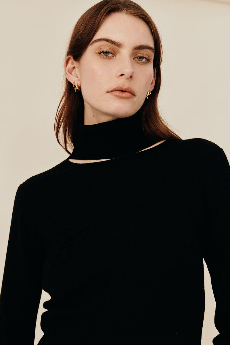 Dimension Turtleneck Knit