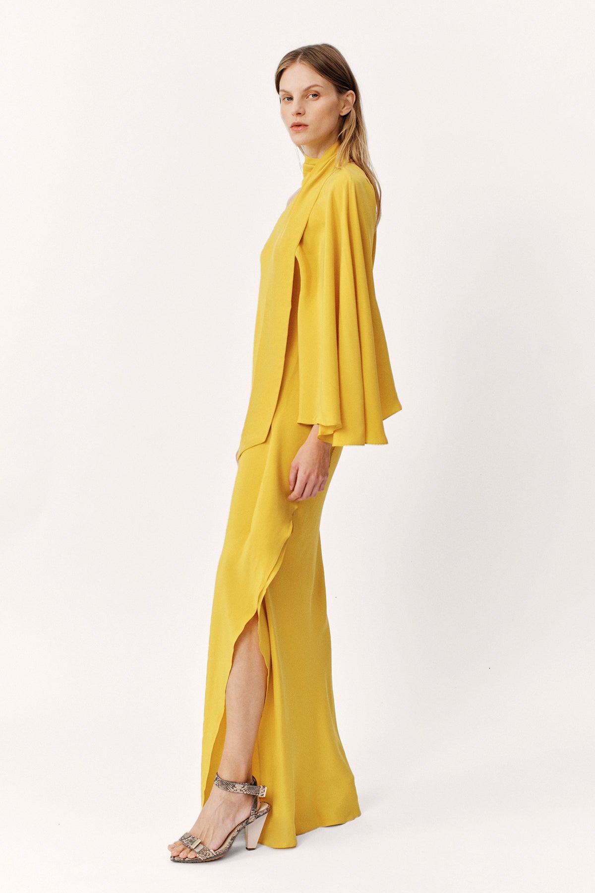 Perpetual Silk Gown