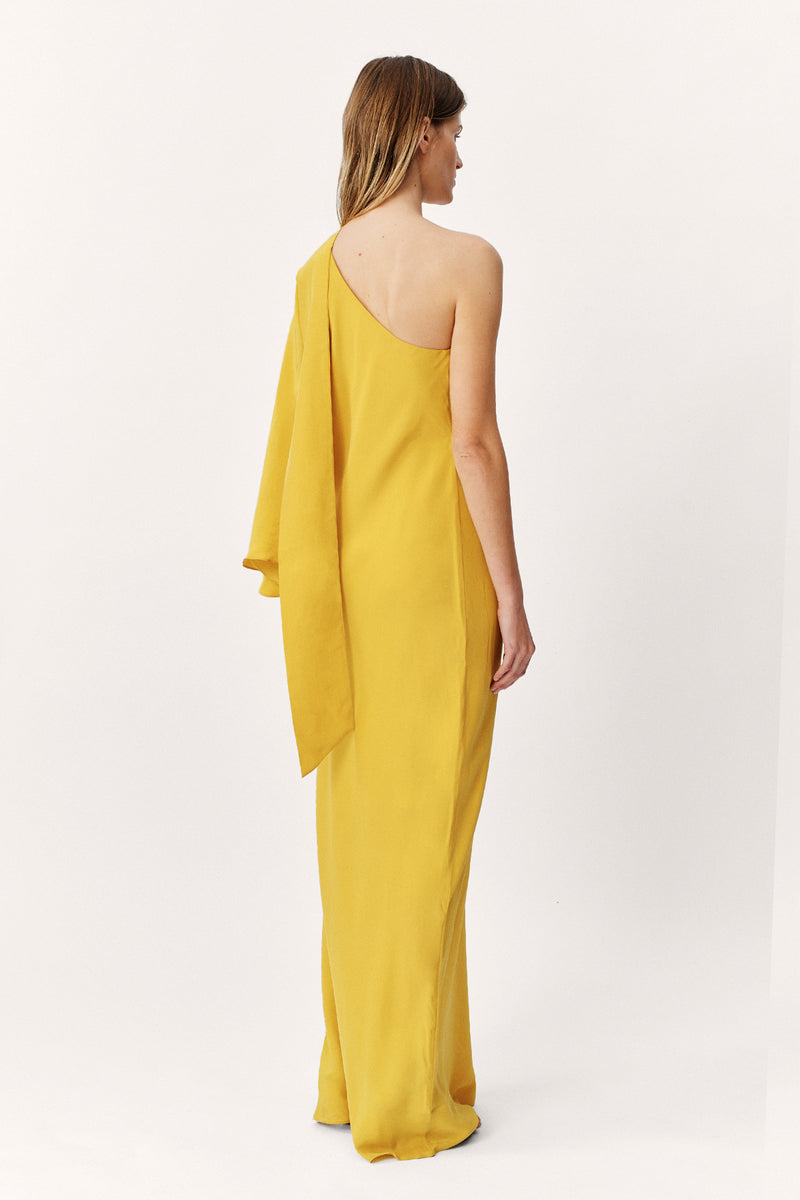 Perpetual Silk Gown